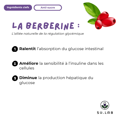 Découvrez la berberine, un allier naturelle de la régulation glycémique qui ralentit l'absorption du glucose intestinal, améliore la sensibilité à l'insuline dans les cellules et diminue la production hépatique du glucose. Retrouvez-les dans notre cure anti-sucre Sweet Control. Stop sucre