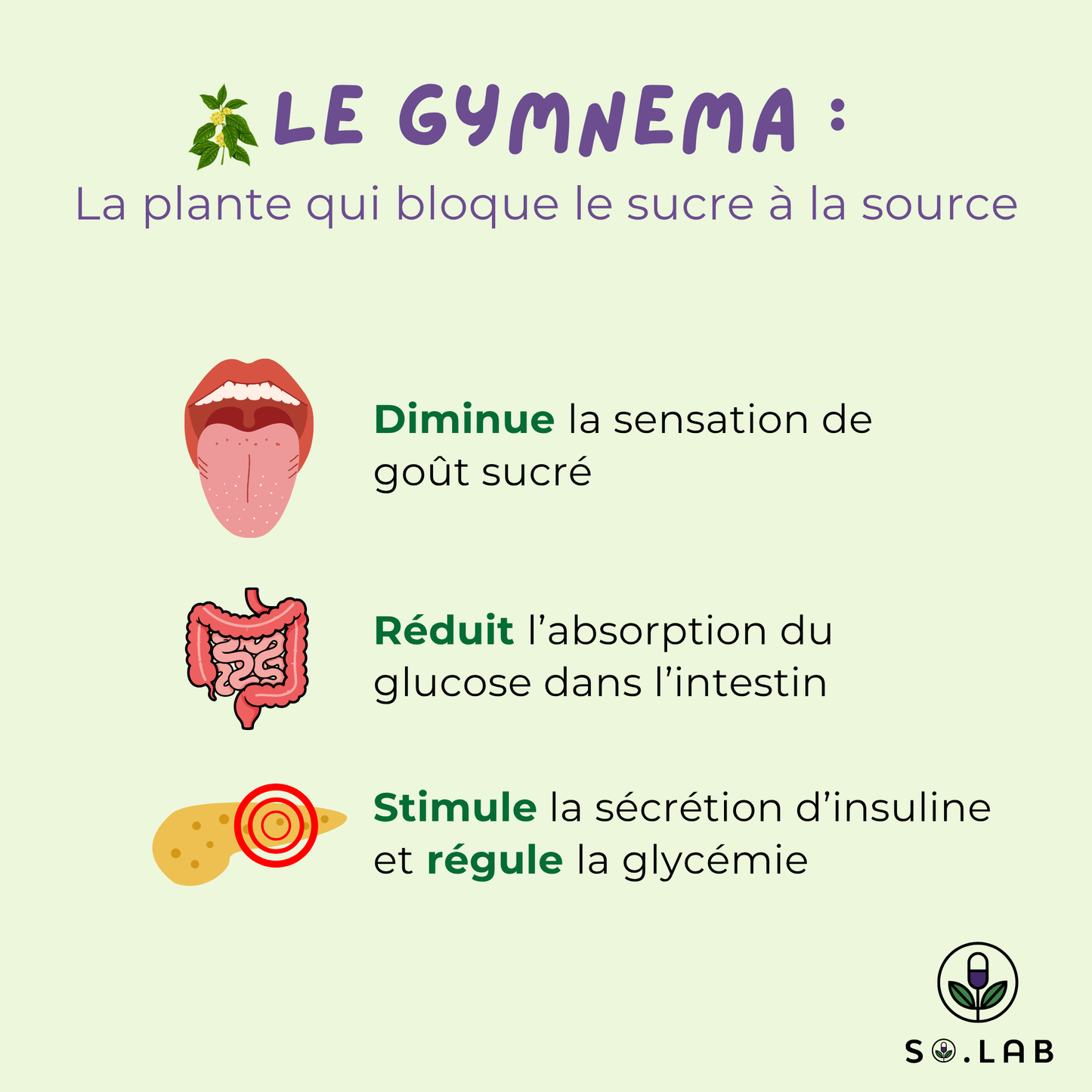Découvrez le gymnema, une plante qui bloque le sucre à la source. Elle diminue la sensation de goût sucré, réduit l'absorption du glucose dans l'intestin et stimule la sécrétion d'insuline et régule la glycémie. Retrouvez-les dans notre cure anti-sucre Sweet Control et dans notre spray Sweet Block. Stop sucre