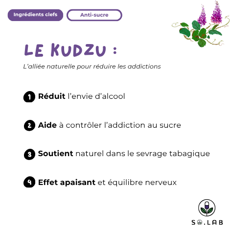 Découvrez le Kudzu, un allié naturel pour réduire les addictions. Il réduit l'envie d'alcool, aide à contrôler l'addiction au sucre, soutient naturellement le sevrage tabagique et possède un effet apaisant et permet d'avior un équilibre nerveux. Retrouvez-les dans notre cure anti-sucre Sweet Control. STOP sucre