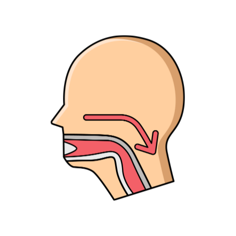 Répartissez le produit sur votre langue et dans toute votre bouche afin que les effets de notre spray Sweet Block anti-sucre fasse effet.