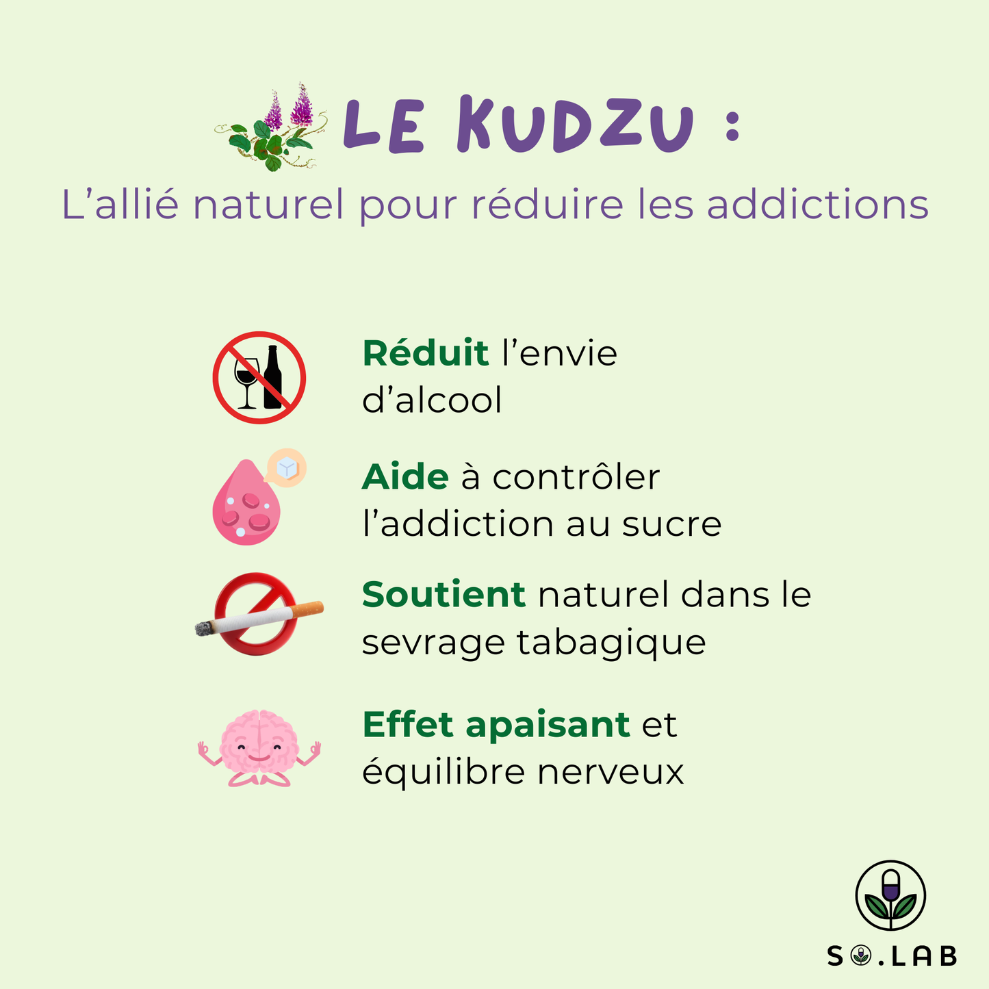 Découvrez le Kudzu, un allié naturel pour réduire les addictions. Il réduit l'envie d'alcool, aide à contrôler l'addiction au sucre, soutient naturellement le sevrage tabagique et possède un effet apaisant et permet d'avior un équilibre nerveux. Retrouvez-les dans notre cure anti-sucre Sweet Control.